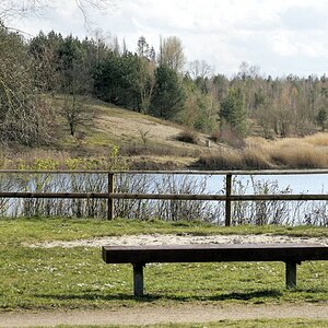 _  Frühling läßt sein blaues Band....jpg