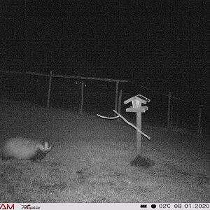 2020-01-08_Secacam1.JPG