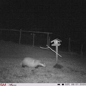 2020-01-08_Secacam2.JPG
