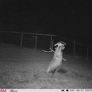 2020-01-08_Secacam3.JPG