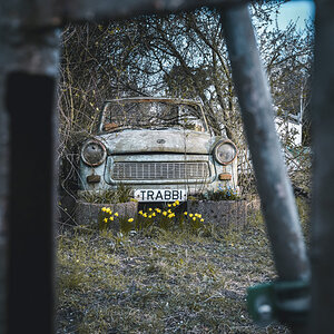 Trabbi