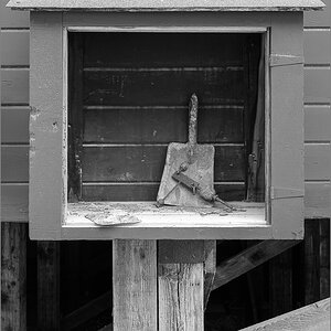 Alaska_2018-0977.jpg
