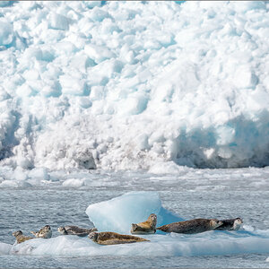 Alaska_2018-1840.jpg
