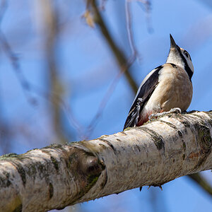 OF2_38241.jpg