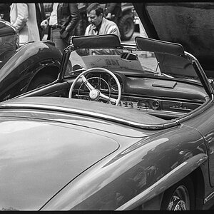 20200229-_D728094.jpg
