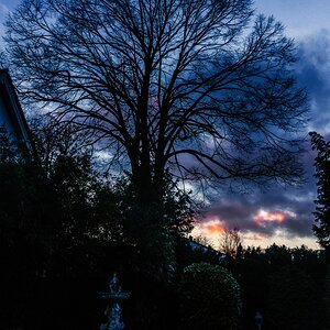 TZ_DSC01366_B.jpg