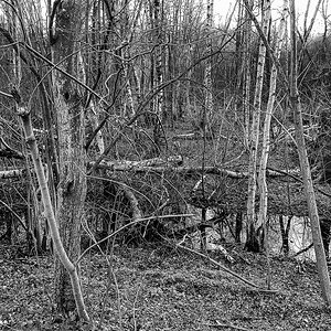 TZ_2020-03-13-17_42_SW.jpg
