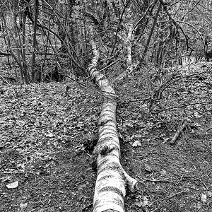 TZ_2020-03-15-14_19_SW.jpg