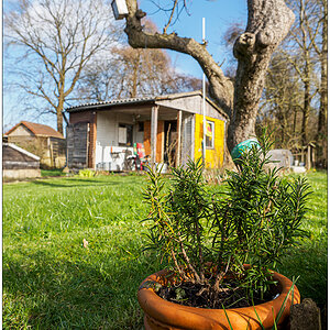 103 Sonne im Schrebergarten