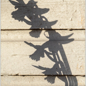107 Schattenspiel