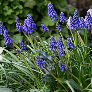 Z50_0921_DxO.jpg