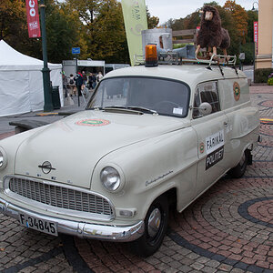DSC_0703-1.JPG