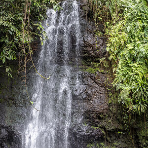 Vaipahi Wasserfall Tahiti.jpg
