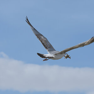 DSC_0514.jpg