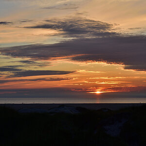 DSC_0779.jpg