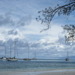 Boote Moorea.jpg