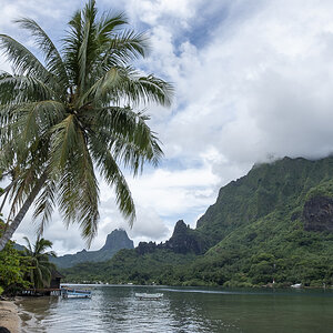 Taahiamanu Moorea.jpg