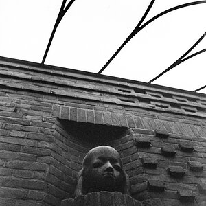 20200314-035.jpg