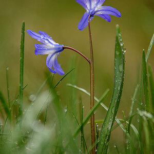D81_1218.jpg