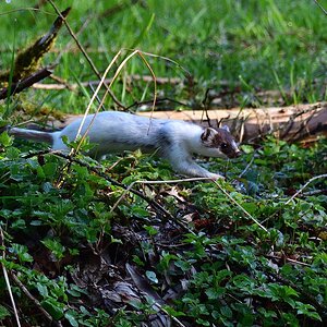 2020_08608.jpg