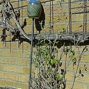 _DSC7518Hxl.jpg