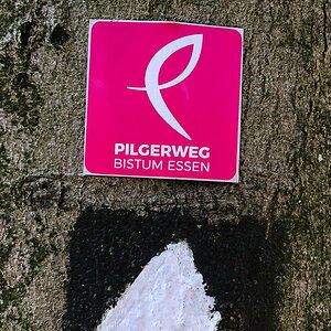 IMG_3259_low.jpg