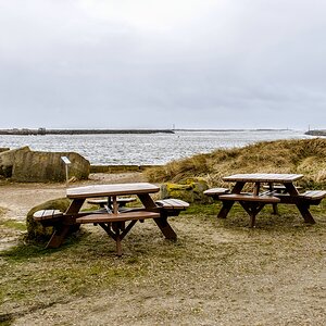 TZ_ZIM_0783.jpg