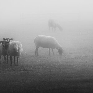 DSC_0822-2.jpg