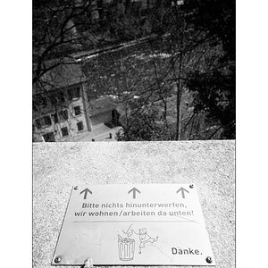 SasaDSC_0116.jpg