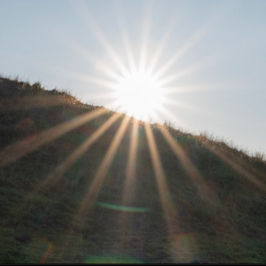 D850 und Sigma 14 1.8-b.png
