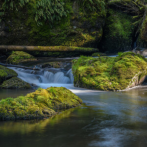 D81_1259.jpg