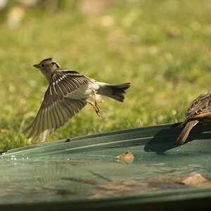 NF_DSC_0705.jpg