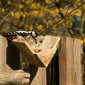 NF_DSC_0757.jpg