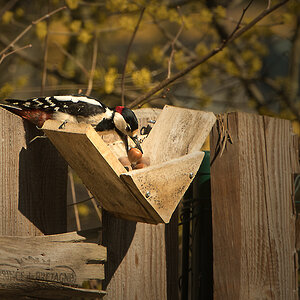 NF_DSC_0764.jpg