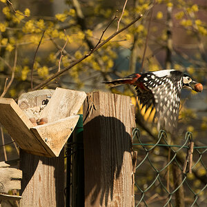 NF_DSC_0766.jpg