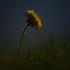_DSC5939-Bearbeitet-1.jpg