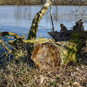 D81_1334.jpg
