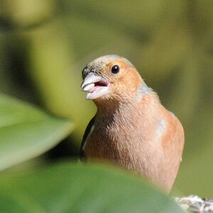 DSC_5405_00001.jpg
