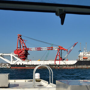 20200324_102529nf.jpg
