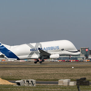 20200326-004.jpg