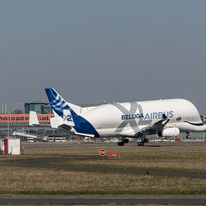 20200326-005.jpg