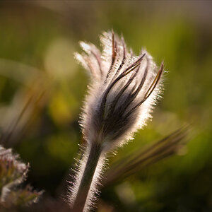 FB_DSC_2469.jpg