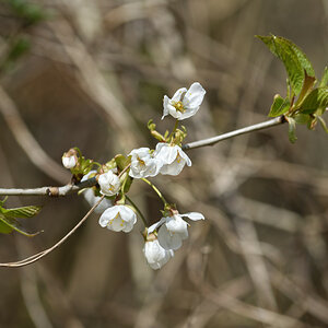 _DSC7399NF.jpg