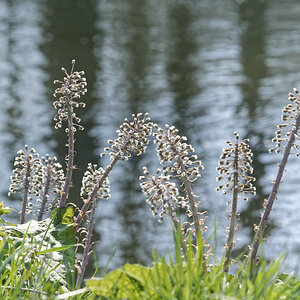 _DSC7402NF.jpg