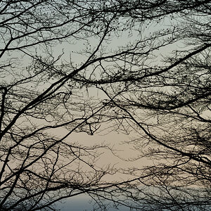 20200328_173659nf.jpg
