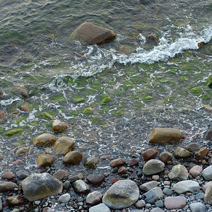 20200328_174728nf.jpg