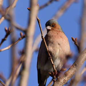 DSC_9033_00001_01.jpg