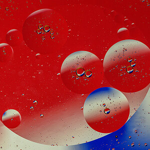 D81_1451_1.jpg