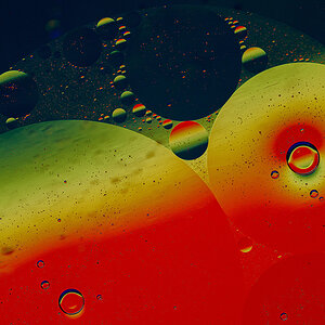 D81_1476_1.jpg