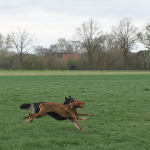 DSC_8012.jpg